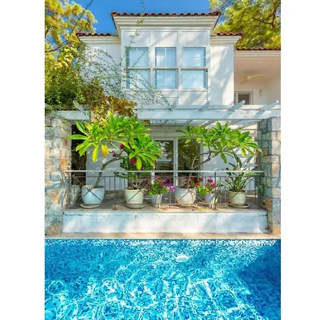 וילה Bayview *